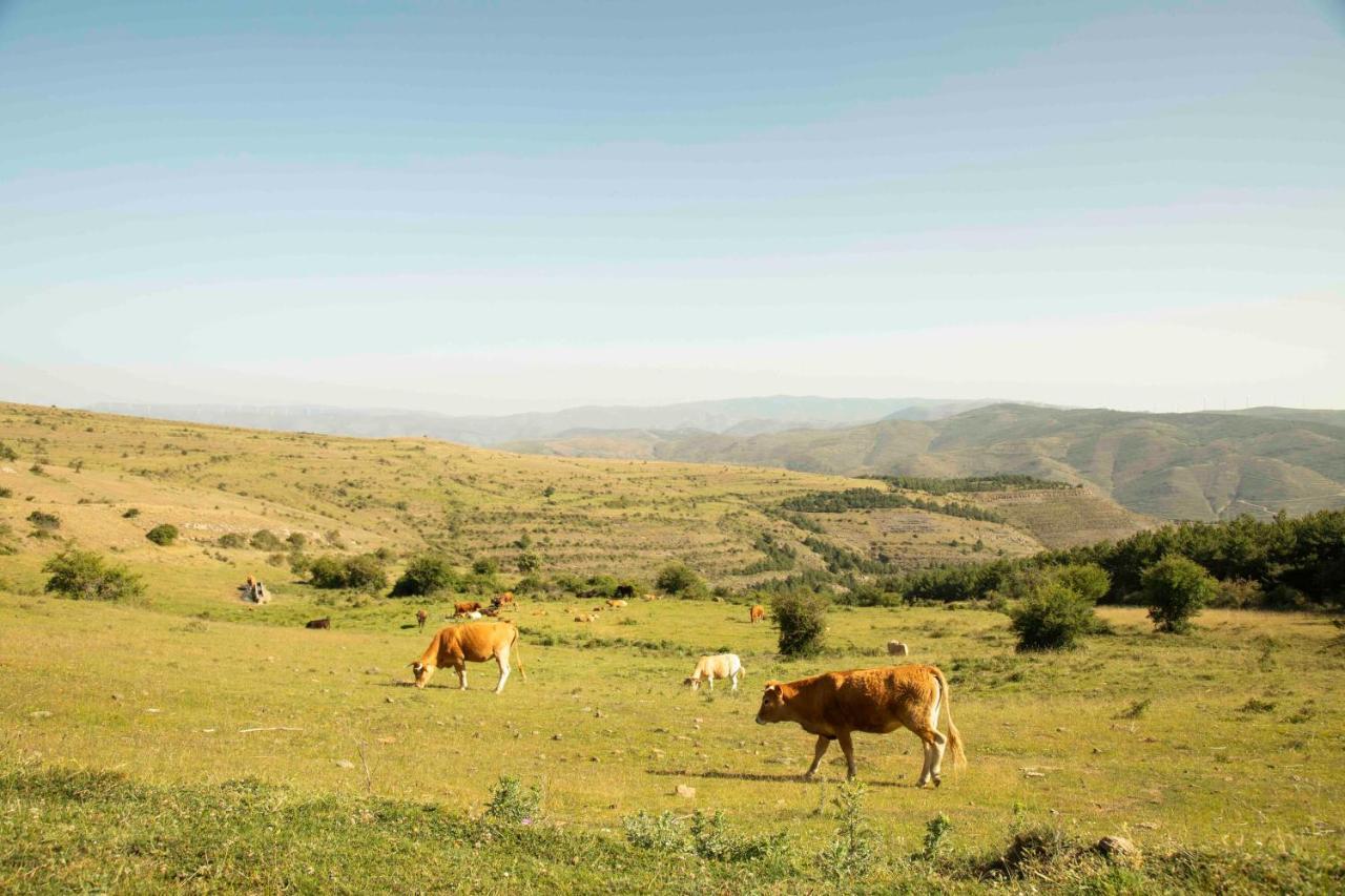Casa Rural El Huerto De La Fragua Энсисо Экстерьер фото