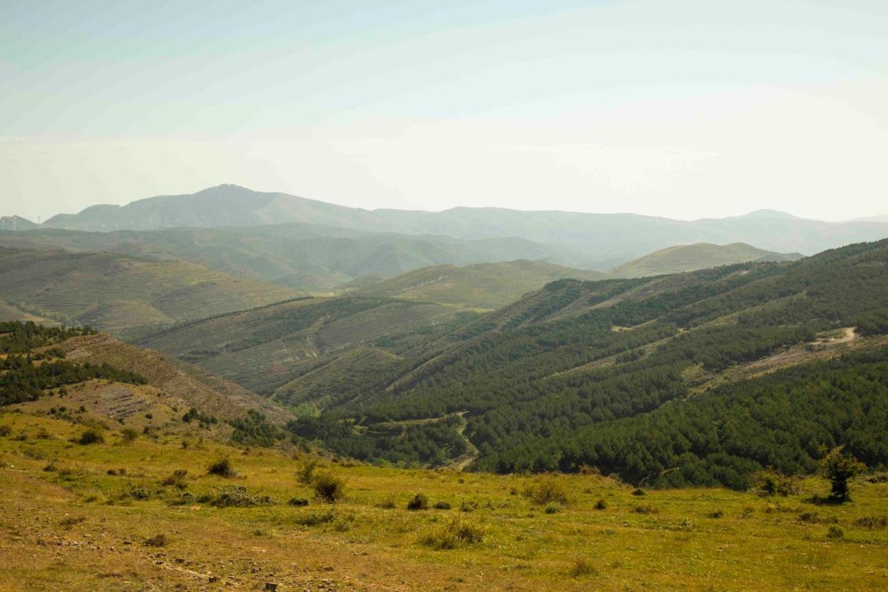 Casa Rural El Huerto De La Fragua Энсисо Экстерьер фото