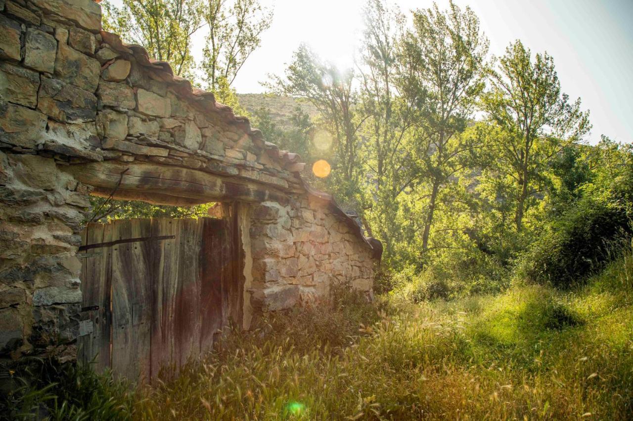 Гостевой дом Casa Rural El Huerto De La Fragua Энсисо Экстерьер фото