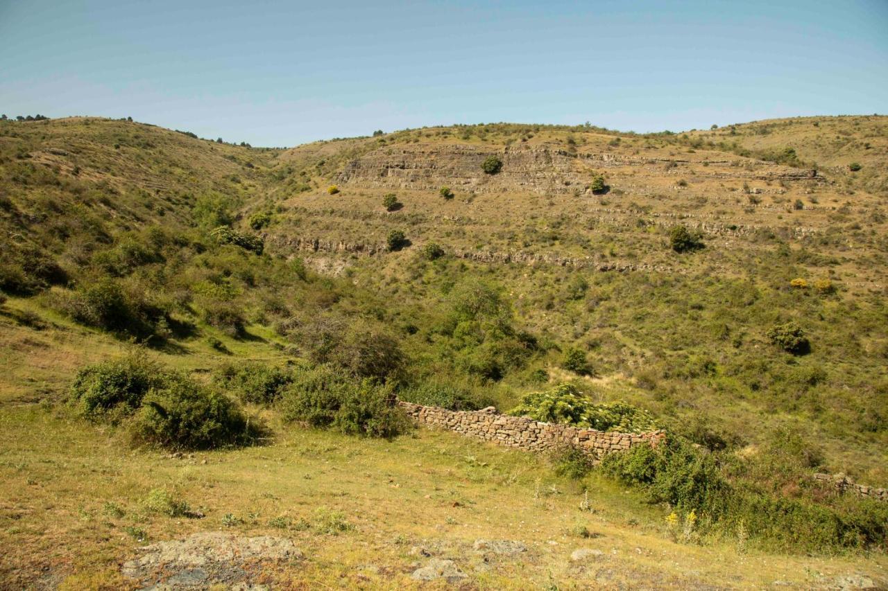 Гостевой дом Casa Rural El Huerto De La Fragua Энсисо Экстерьер фото