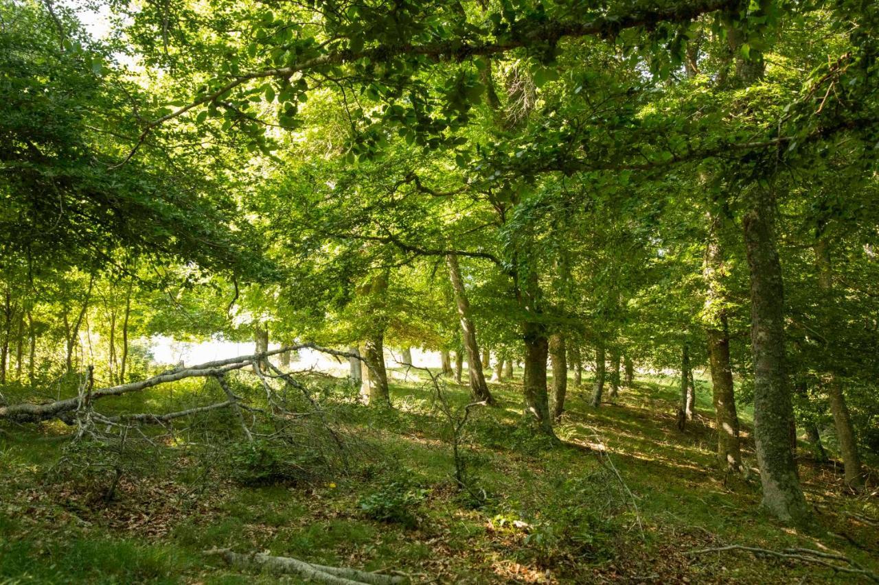 Casa Rural El Huerto De La Fragua Энсисо Экстерьер фото